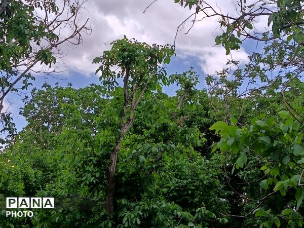 طبیعت در دل روستای برزنون،حال و هوای این دیار از قاب پانا