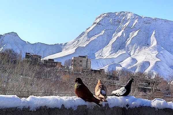 اولین برف زمستانی در بار