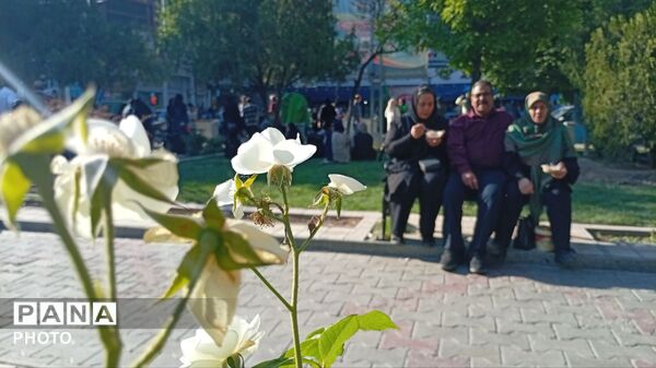 حماسه حضور؛ وقتی ملایر «غدیری» شد