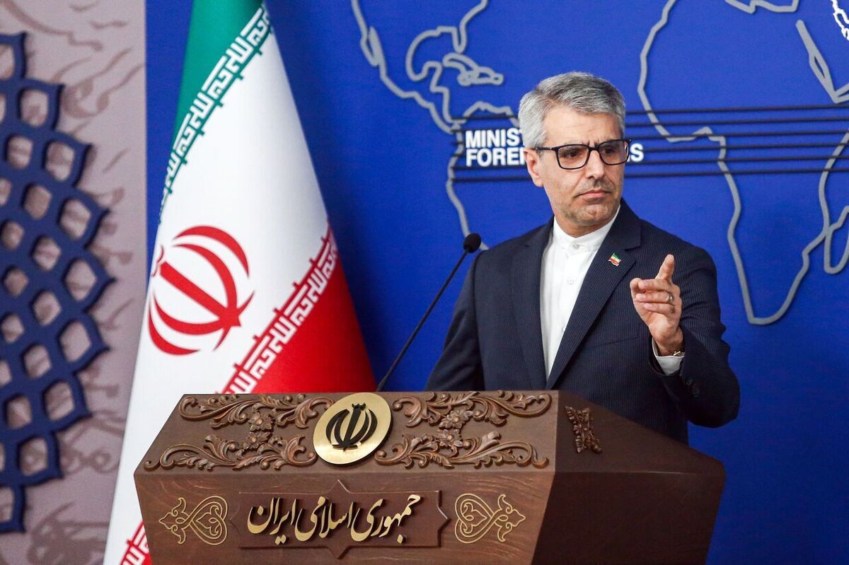 بقائی: ایرانیان اجازه هیچ‌گونه مداخله خارجی را نخواهند داد