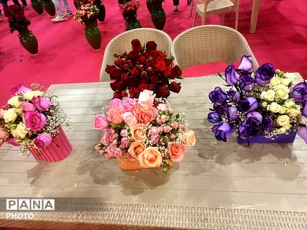 نمایشگاه گل و گیاه و سوغات در همدان