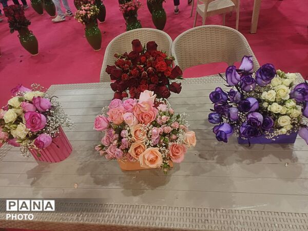 نمایشگاه گل و گیاه و سوغات در همدان
