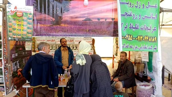جشواره بومی محلی عناب شهرستان کوهپایه 