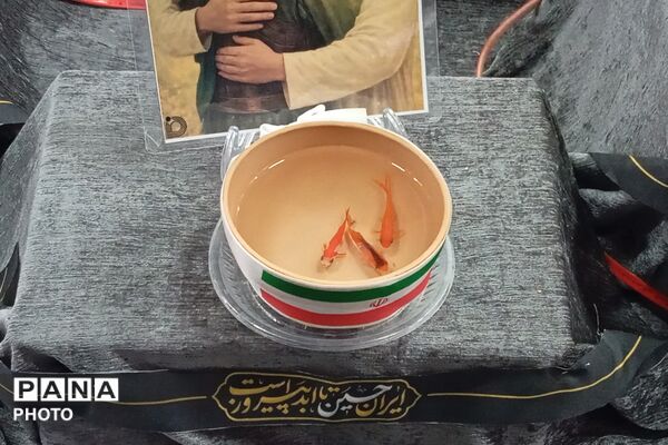 حال و هوای اولین پنجشنبه سال ۱۴۰۵ در گلزار شهدا