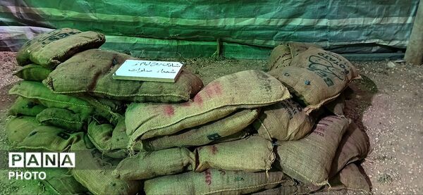 بازآفرینی حماسه کربلا در قاب نمایشگاه