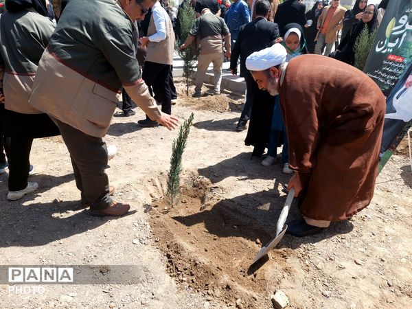 پویش سرو ایران؛یادگاری از جنگ اخیر در دل طبیعت