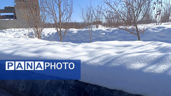 منظره زیبای برف پاییزی در باغات شهرستان نیشابور 