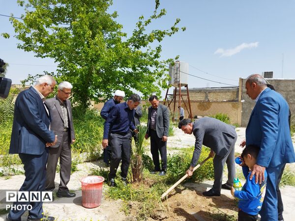 ۴ اصل نخل؛ نماد پاسداشت شهیدان و همدلی در منطقه شیب‌کوه 