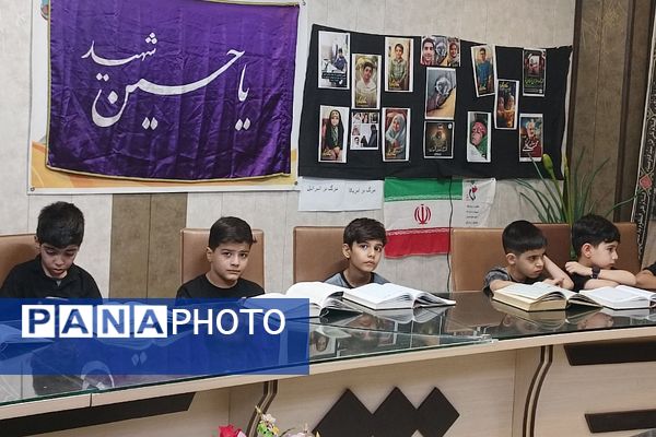 از کربلا تا ایران؛ روایت تابستان ایستادگی