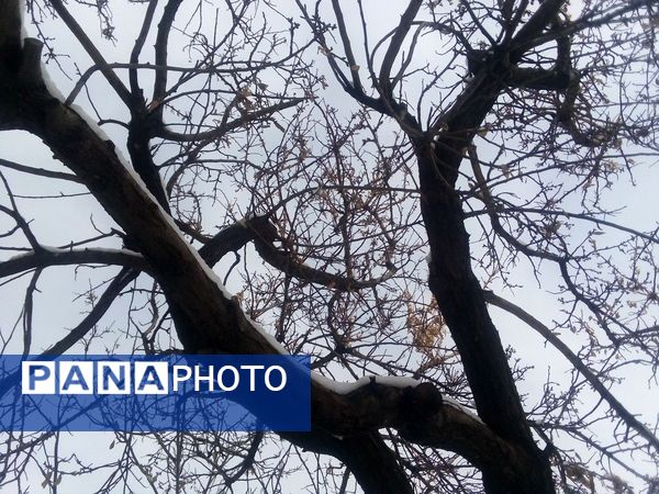 برف زمستانی در شهرستان بن 