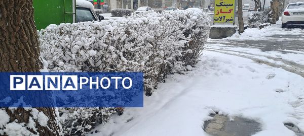 شهر نیشابور سفید پوش شد 