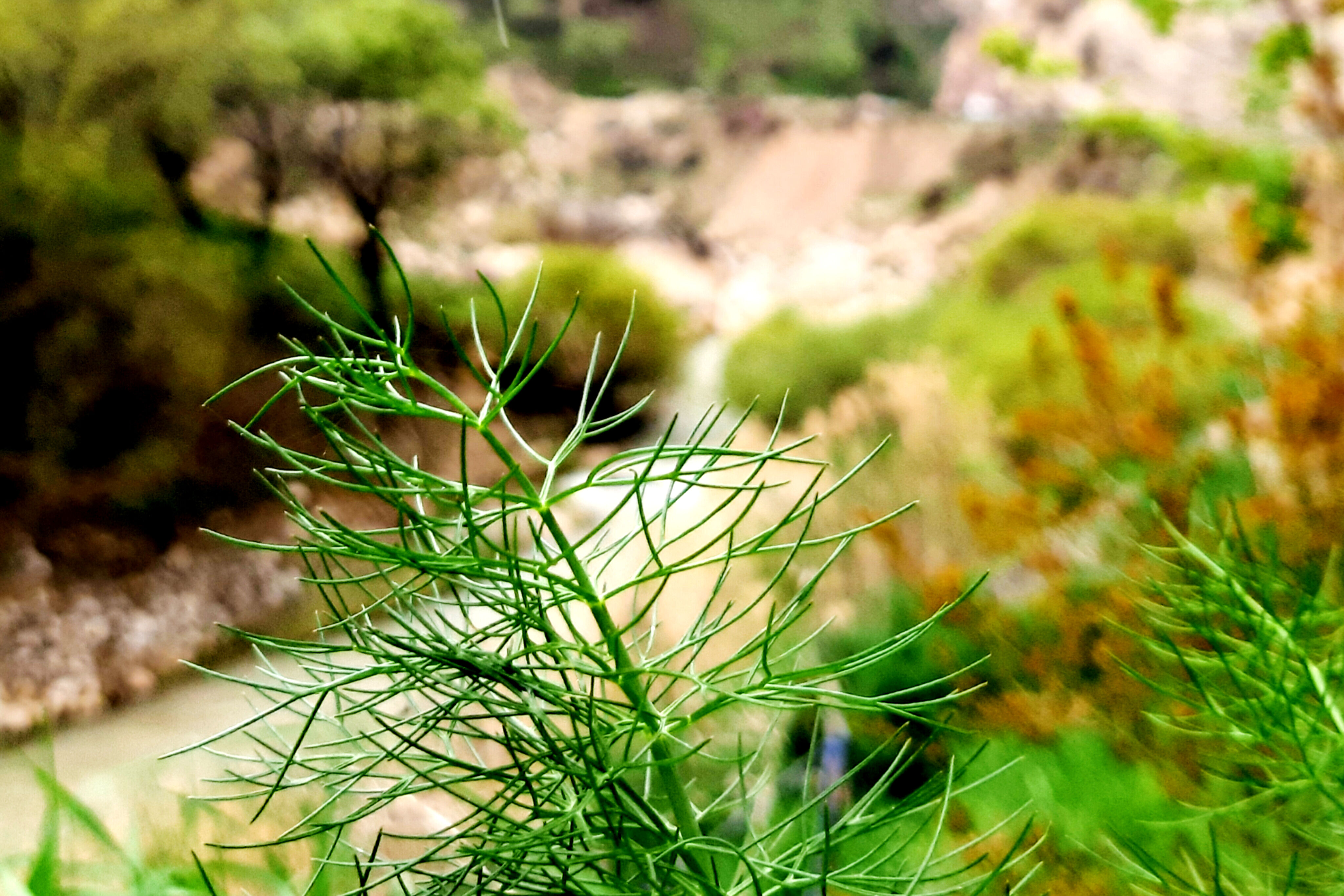 طبیعت دِراز‌رود؛ زیباترین تابلوی سبز لردگان