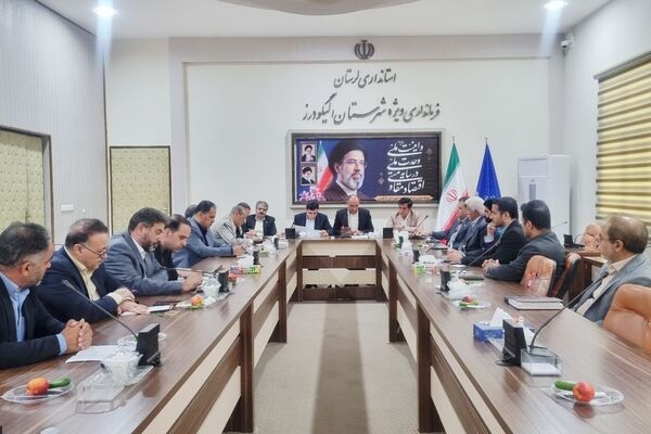 جلسه شورای هماهنگی تعاون، کار و رفاه اجتماعی الیگودرز
