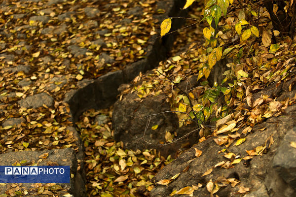 پاییز خیال انگیز در پارک جمشیدیه