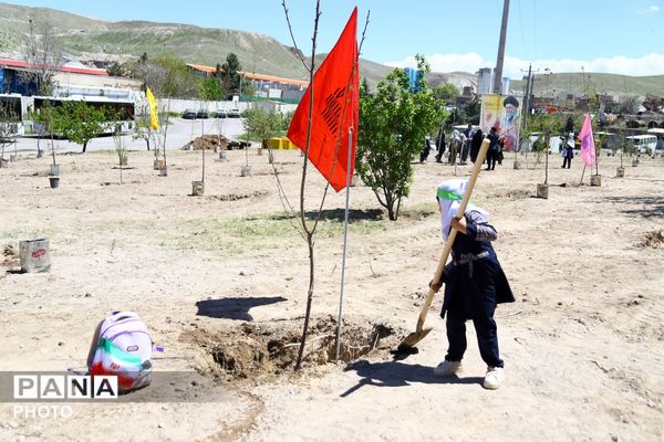 احداث باغ میوه به یاد شهید دانش‌آموز «ماکان نصیری»