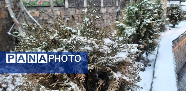 بارش نعمت‌های خداوند در آسمان مشهد