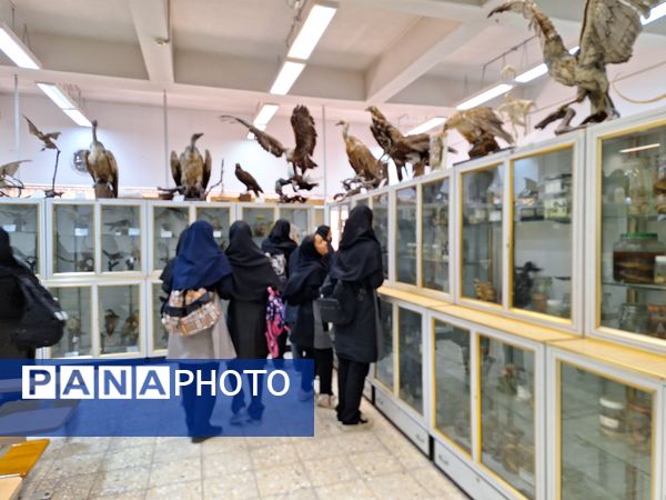 بازدید دانش‌آموزان از موزه زمین شناسی و جانور شناسی دانشگاه فردوسی مشهد
