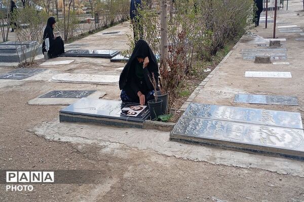 آیین سنتی روز های عَلَفِه در شهر بار نیشابور  