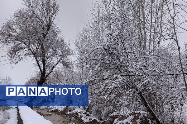 آسمان سخاوتمندانه نعمتش را در ماه شعبان به زمین شهر بار هدیه کرد