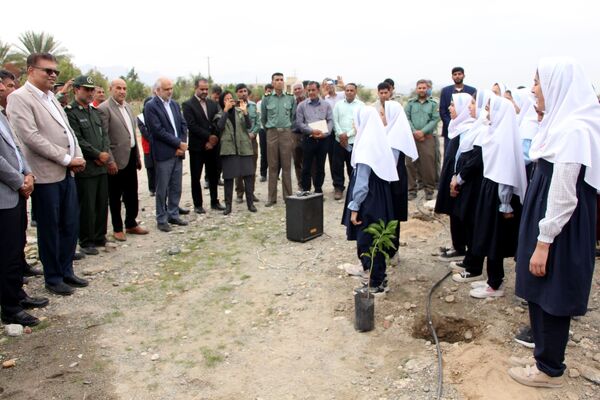روز درختکاری در رودان