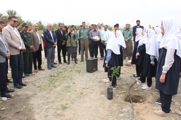 روز درختکاری در رودان