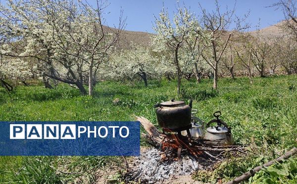 شهر زیبای بار، بهشت نیشابور