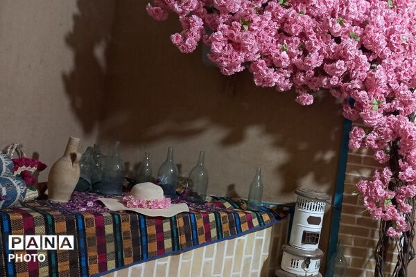 آغاز سمفونی گل و گلاب در مهد گل محمدی