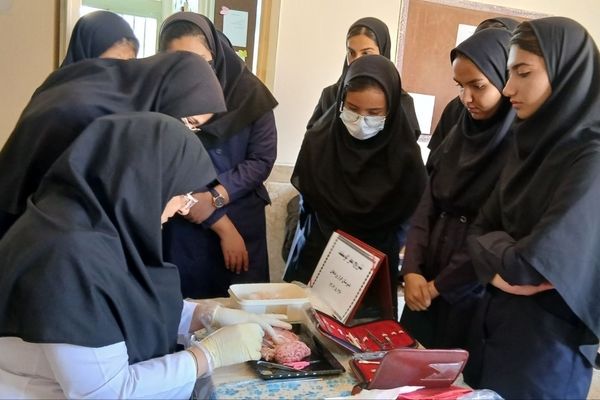 فعالیت عملی دانش‌آموزان در درس زیست‌شناسی، لمس عینی مفاهیم است