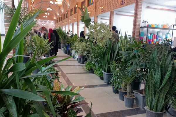 نمایشگاه گل و گیاه در نمایشگاه دائمی قرچک