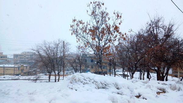 چهره زمستانی شهر فارسان 