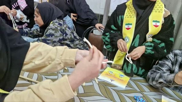 طرح اردوی تمشک در شهرستان دنا