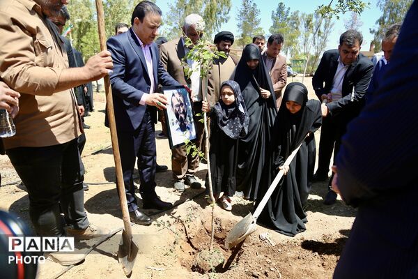 آیین کاشت 168 نهال به یاد دانش‌آموزان شهید میناب در اردوگاه 15خرداد قم
