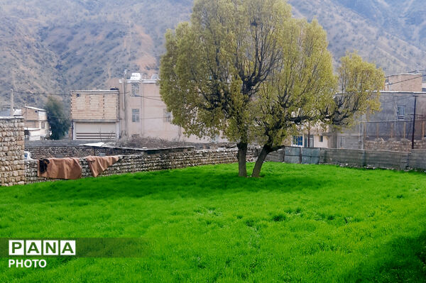 طبیعت روستای بیدله به هنگام بهار