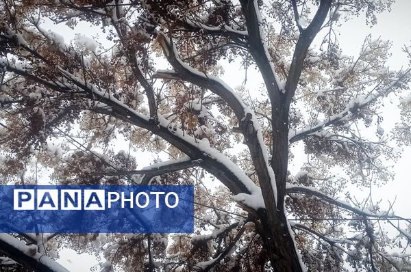 قلعه یزدان در قاب برفی زمستان