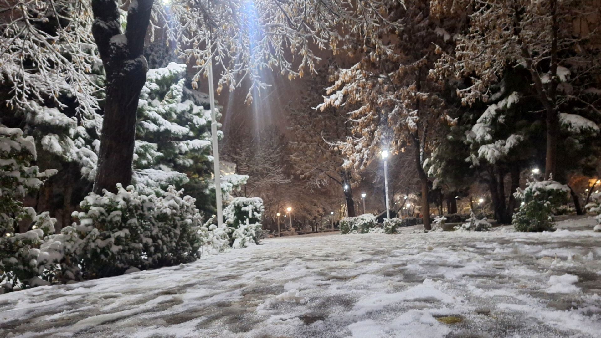 پارک‌های شهر مشهد در آغوش برف