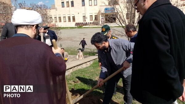غرس نهال مثمر در کانون فرهنگی هنری شهید فهمیده مرند 