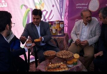 شکوفه‌های بادام ؛ شکوفایی سامان