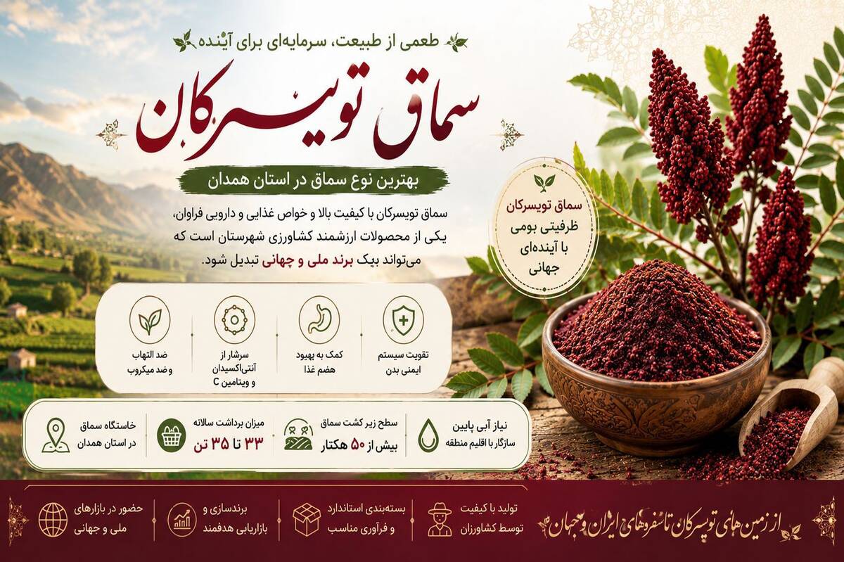 سماق تویسرکان، طعم بومی که می‌تواند جهانی شود