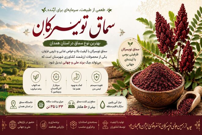 سماق تویسرکان، طعم بومی که می‌تواند جهانی شود