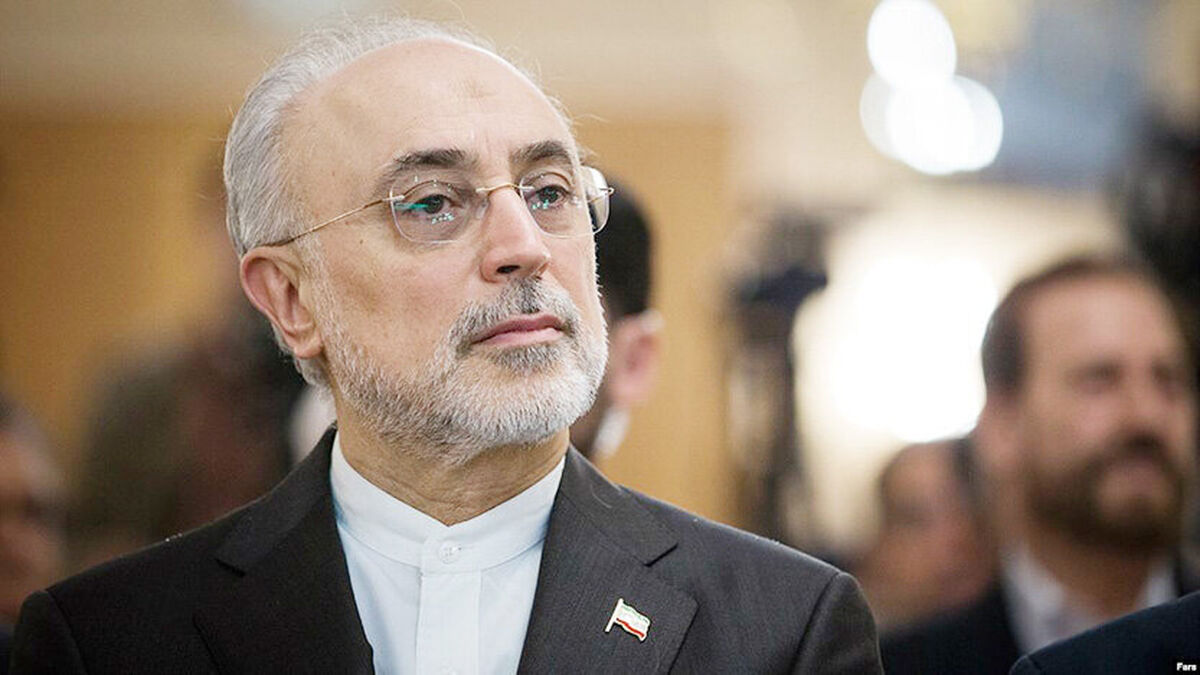 صالحی: شهید امیرعبداللهیان مردی از تبار عقلانیت در میدان عمل بود