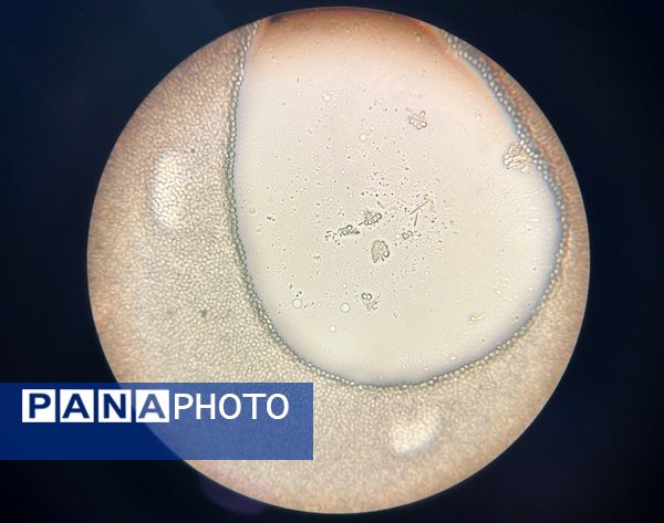 بازدید دانش‌آموزان حضرت معصومه(س) شاهد از پژوهش‌سرای رازی