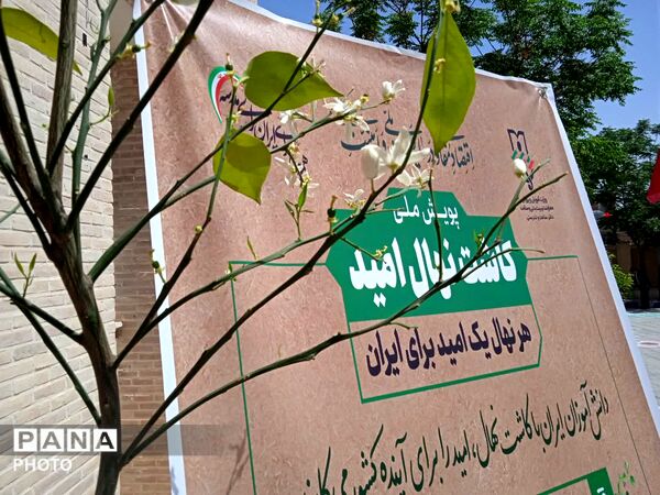 کاشت نهال امید در دبستان دخترانه شاهد پوررضایی ناحیه دو یزد