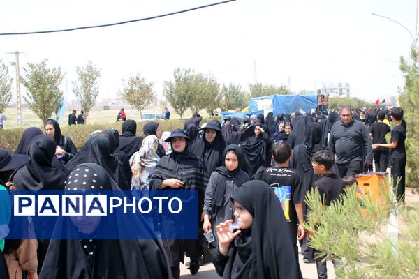 جلوه‌های زیبای انس و همدلی در خدمت به ارادتمندان سیدالشهدا(ع)