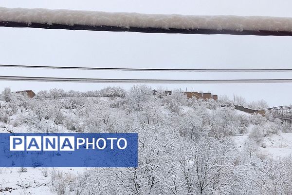 آلبوم تصویری از برف در طبیعت شهر بار 