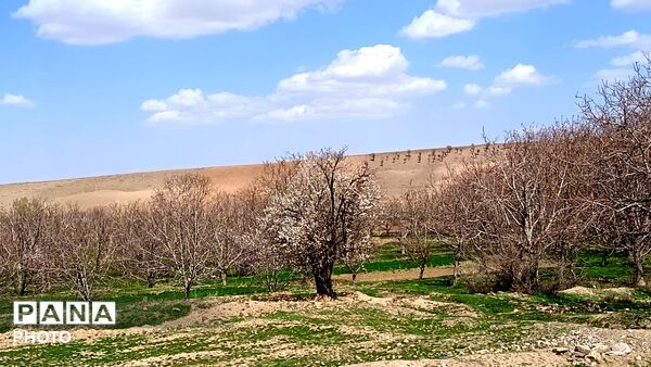 رویش شکوفه های امید در فصل بهار روستای برزنون 