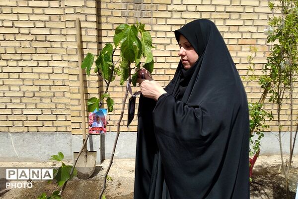 کاشت نهال به یاد یاسمن‌های میناب و شهیده دانش‌آموز نازنین زهرا سیفی 