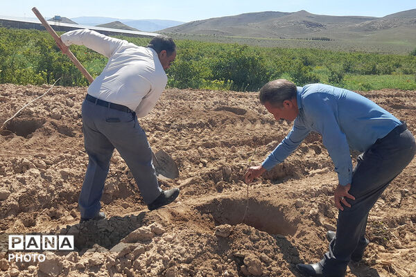 آیین نهال‌کاری روز زمین پاک در هنرستان کشاورزی سملقان
