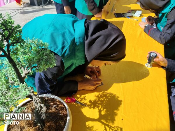 انتخابات همیاران مشاور در دبیرستان دخترانه خاندان فریدی