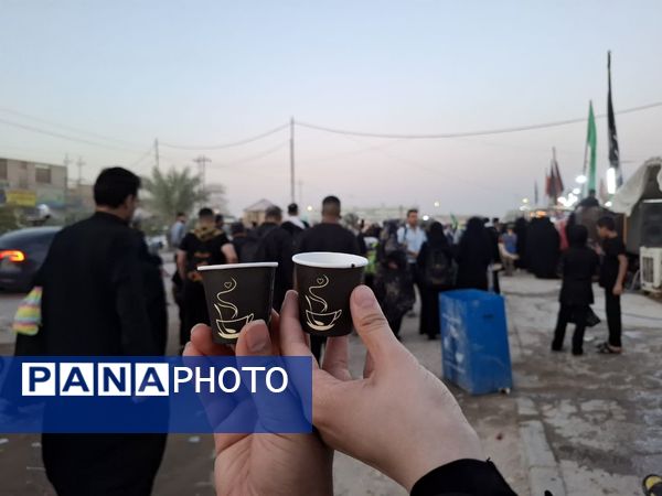 گام های عاشقی از قلب های سرگشته تا میعادگاه دلدادگی 