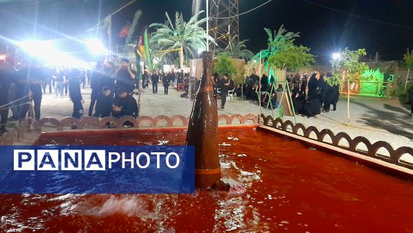 منظره‌های عزاداری از شور عاشورای حسینی در وردنجان 